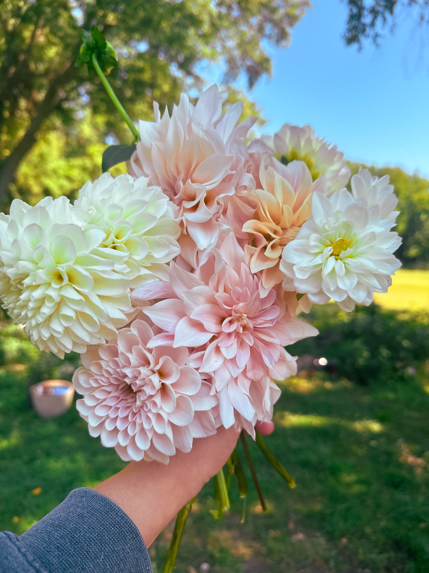 Flower Bouquets (Local + Seasonal)