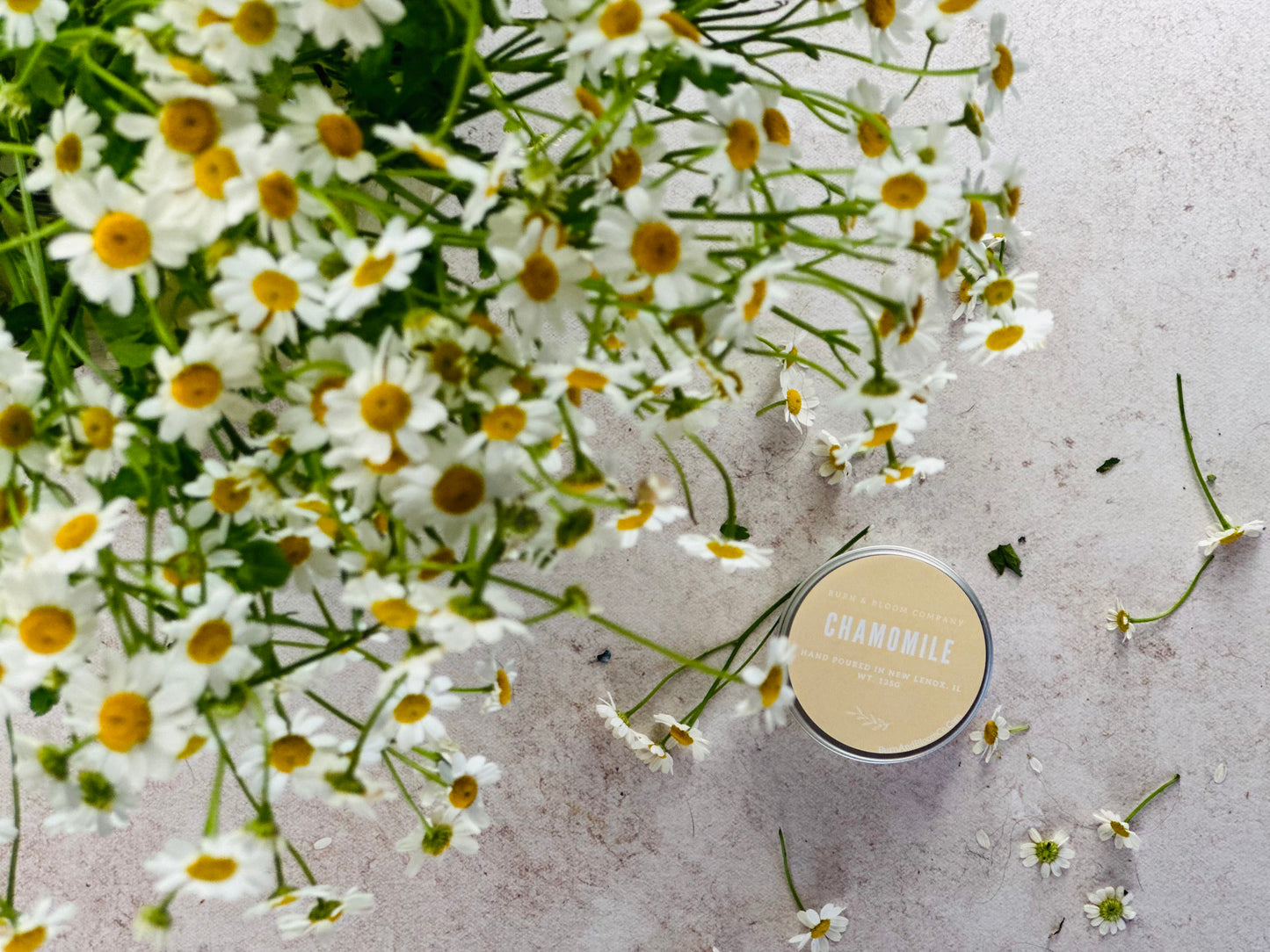 Chamomile