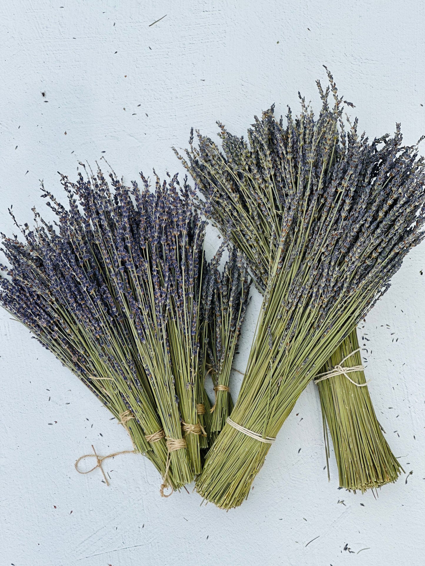 Dried Lavender