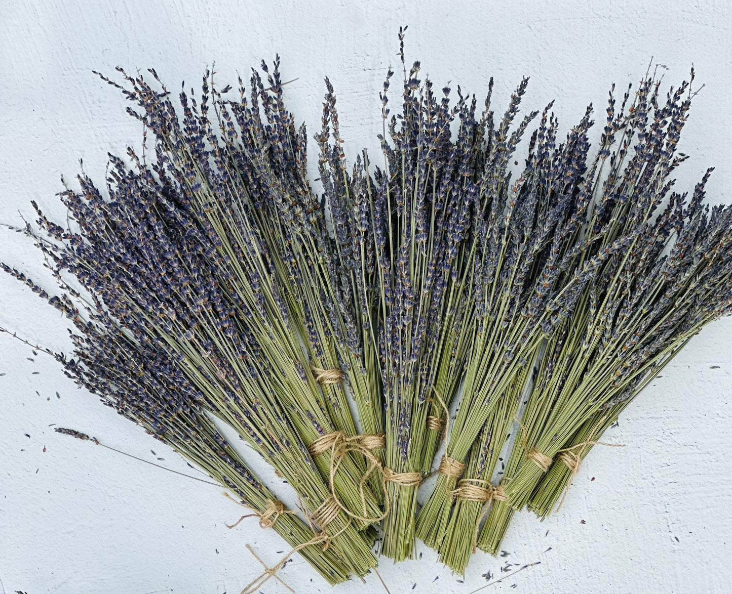 Dried Lavender