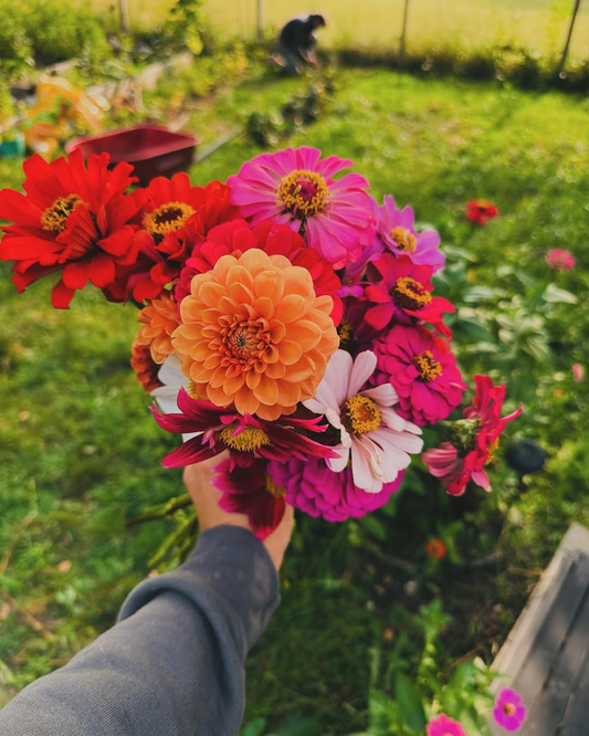Local Flower Bouquet 12 - 15 Stems