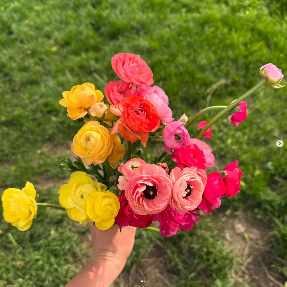 Local Flower Bouquet 12 - 15 Stems