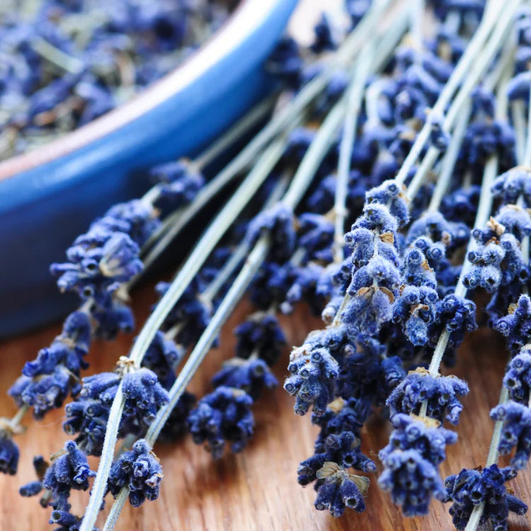 Seasonal Lavender Sprig