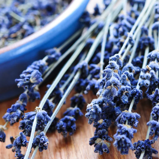 Seasonal Lavender Sprig