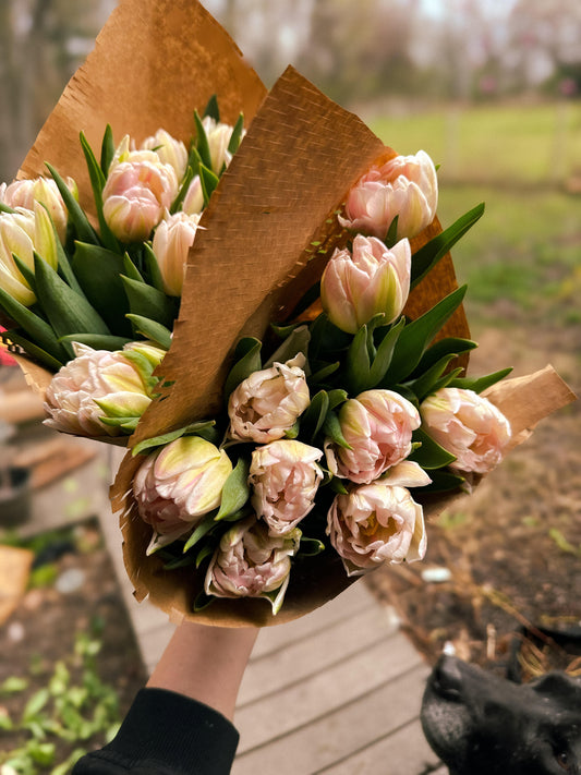 Local Flower Subscription (4 Bouquets)